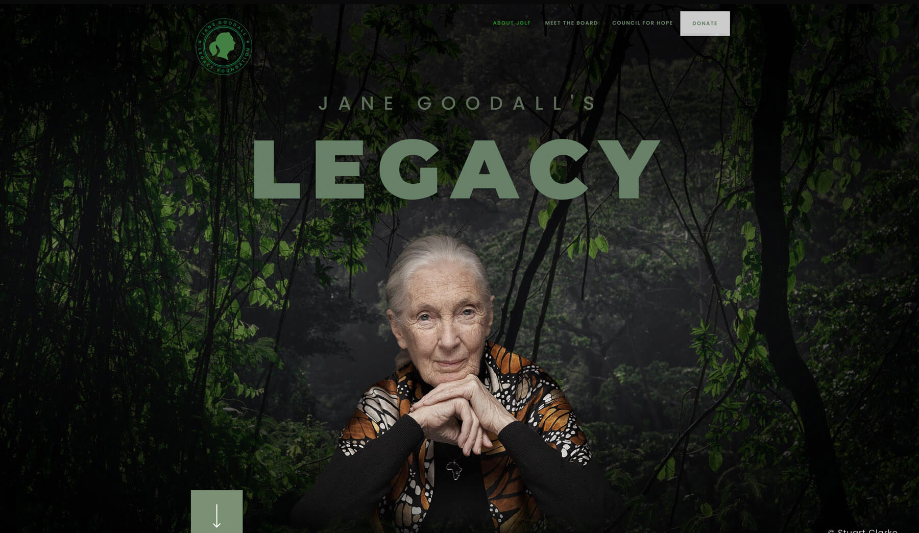 Jane Goodalls Legacy